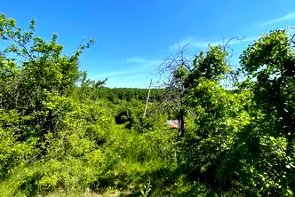 Парцел в Хасково, Любен Каравелов