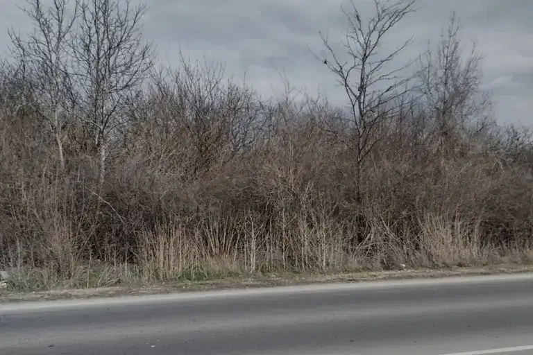Plot in Varna, Ignatievo