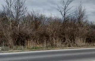 Парцел във Варна, Игнатиево