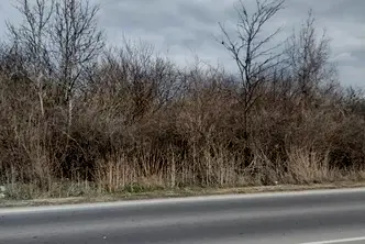 Парцел във Варна, Игнатиево
