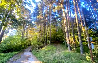 Парцел в София, к.к. Боровец