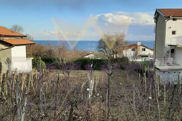 Plot in Zlatni Pyasyci