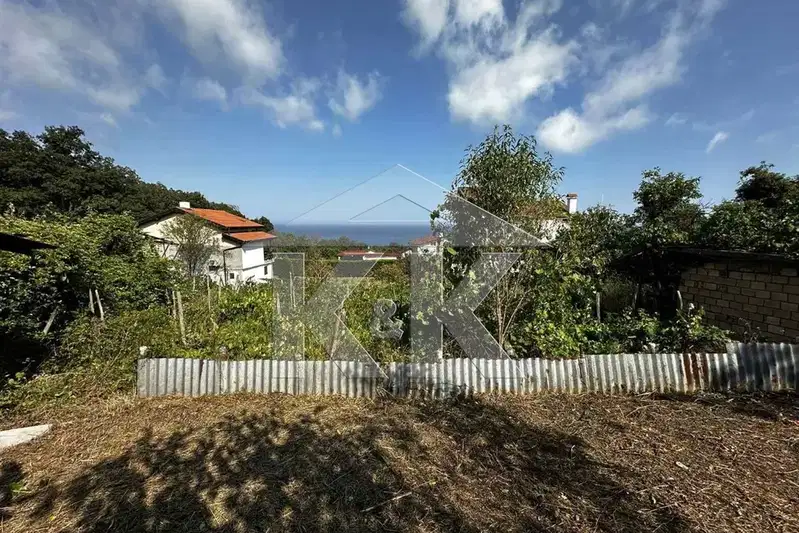 Plot in Zlatni Pyasyci