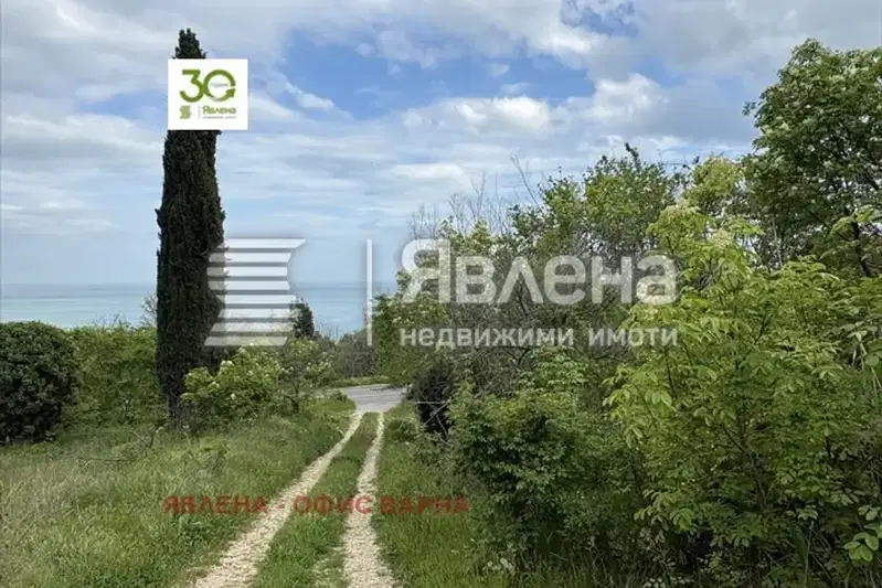 Plot in Zlatni Pyasyci