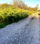 Парцел във Враца, Козлодуй