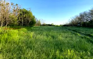 Парцел във Враца, Козлодуй
