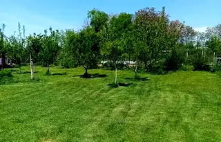 Парцел в Пловдив, Кричим
