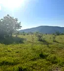 Парцел в Пловдив, Куклен