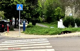 Парцел в Кърджали, Център
