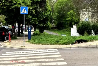 Парцел в Кърджали, Център