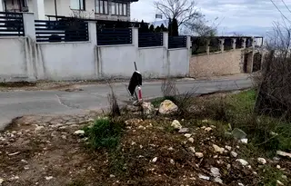 Парцел в Кърджали, Възрожденци