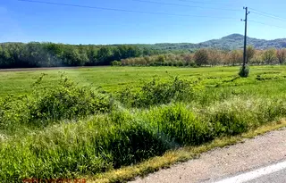 Парцел в Ловеч, Широк център