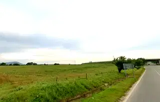 Парцел в Монтана, Кошарник