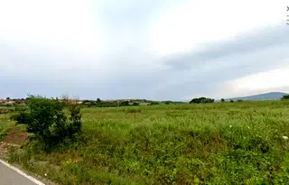 Парцел в Монтана, Кошарник