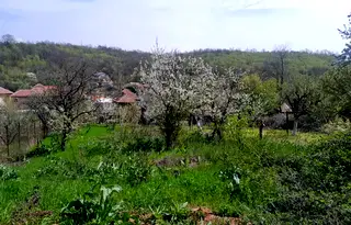 Парцел в Монтана, Мала Кутловица