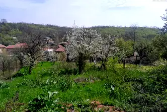 Парцел в Монтана, Мала Кутловица