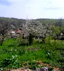 Парцел в Монтана, Мала Кутловица