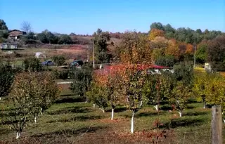 Парцел в Перник, Църква