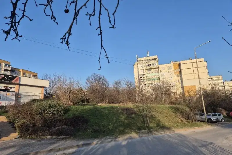 Plot in Pleven, Drujba 2
