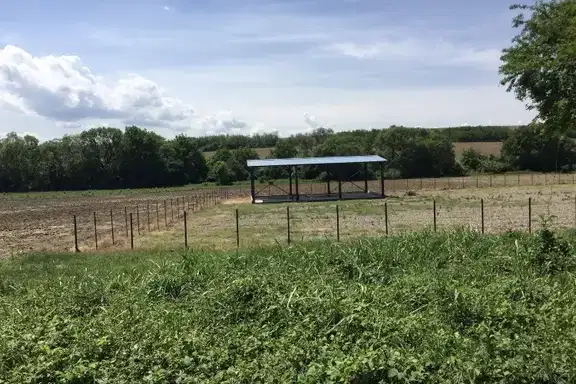 Plot in Pleven, Shirok Centyr