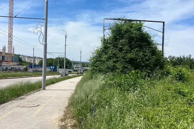 Plot in Pleven, Shirok Centyr