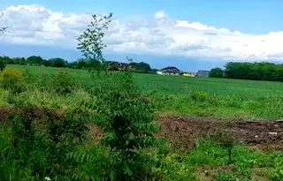 Парцел в Пловдив, Беломорски