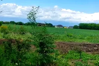 Парцел в Пловдив, Беломорски