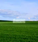 Парцел в Пловдив, Индустриална зона - Юг