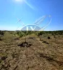Парцел в Бургас, Поморие