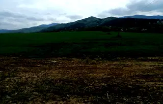 Парцел в София, Правец