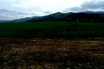Парцел в София, Правец