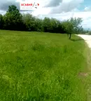 Парцел в София, Правец