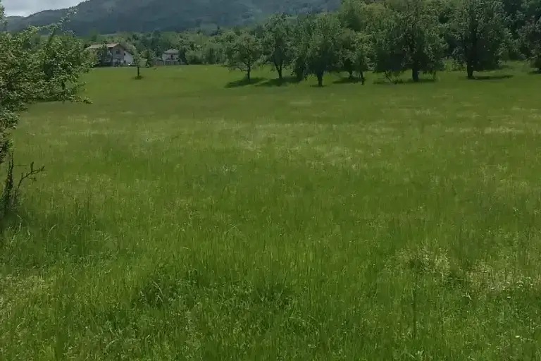 Парцел в София, Правец