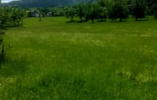 Парцел в София, Правец