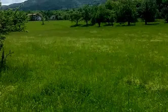 Парцел в София, Правец