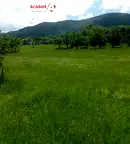 Парцел в София, Правец