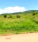 Парцел в Перник, Радомир