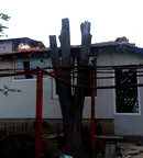 Парцел в Раз, Промишлена зона - Запад