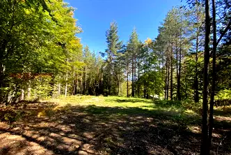 Парцел в Благоевград, Разлог