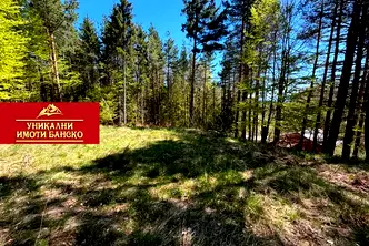Парцел в Благоевград, Разлог