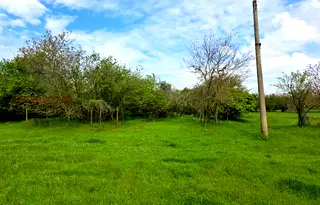 Парцел във Варна, с. Аврен
