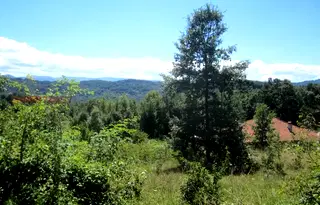 Парцел в Ловеч, с. Балабанско