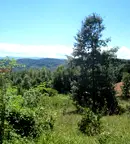 Парцел в Ловеч, с. Балабанско