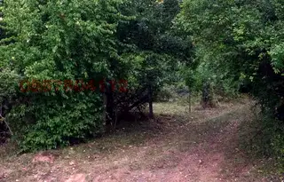 Парцел в София, с. Батулия