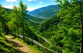 Парцел в София, с. Батулия