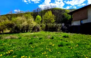 Парцел в Ловеч, с. Бели Осъм
