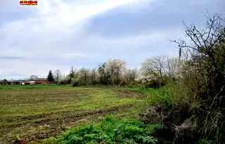 Парцел в Добрич, с. Безводица