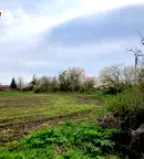 Парцел в Добрич, с. Безводица