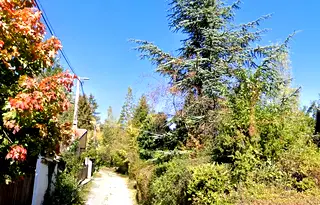 Парцел в с. Бистрица