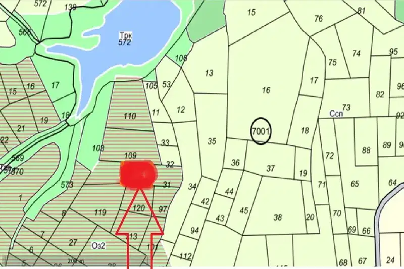 Plot in Bistrica